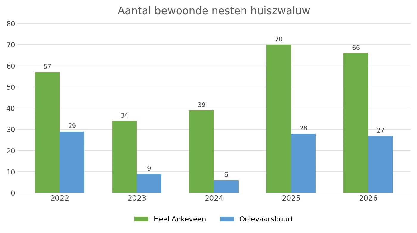 Grafiek: aantal bewoonde huiszwaluwnesten in Ankeveen 2022 tot en met 2026