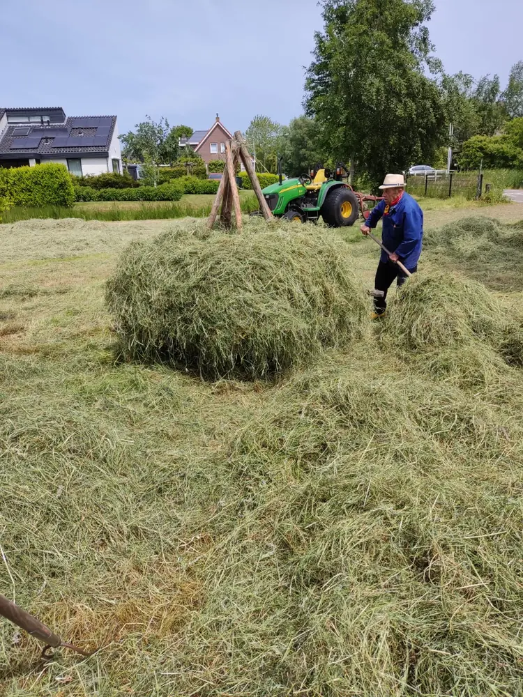Hooiopper na het zeisen